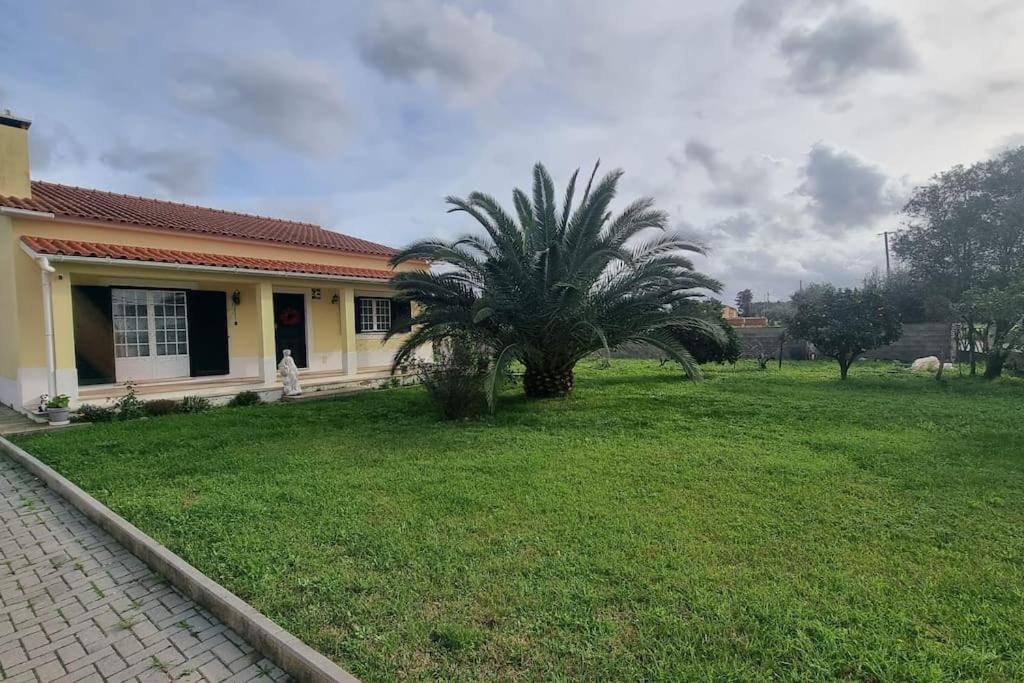 Quinta Marinhais Para Ferias No Ribatejo Luaran gambar