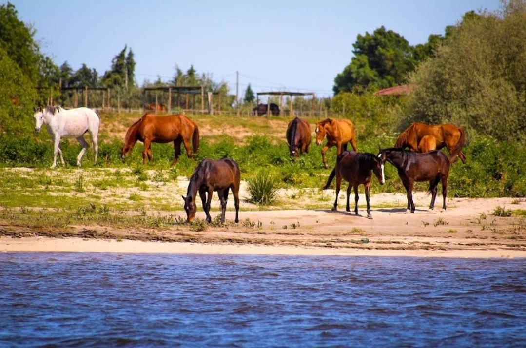 Quinta Marinhais Para Ferias No Ribatejo Luaran gambar