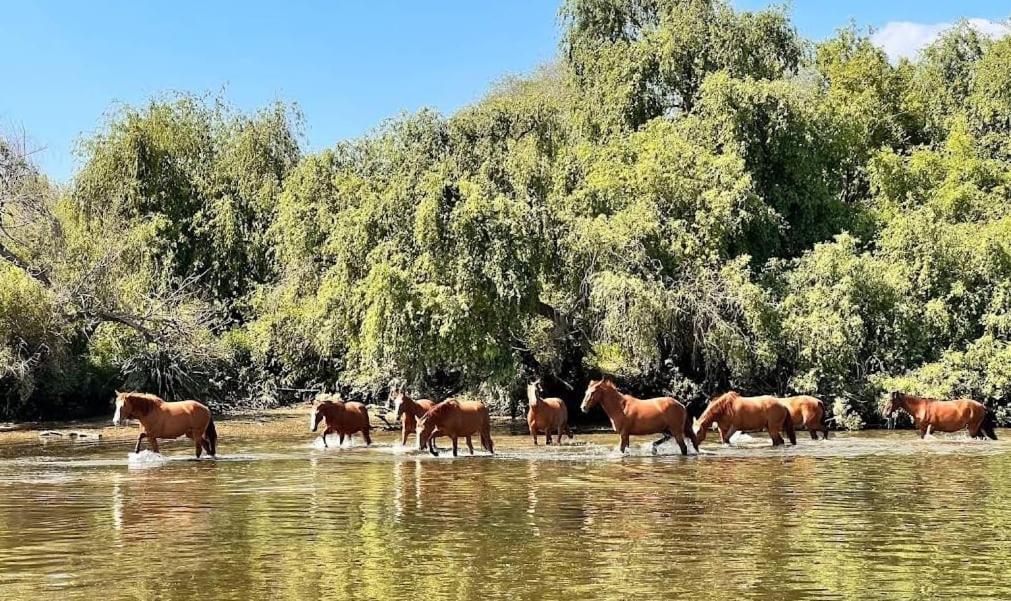 Quinta Marinhais Para Ferias No Ribatejo Luaran gambar