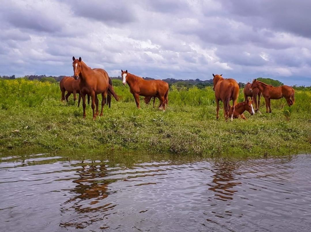 Quinta Marinhais Para Ferias No Ribatejo Luaran gambar