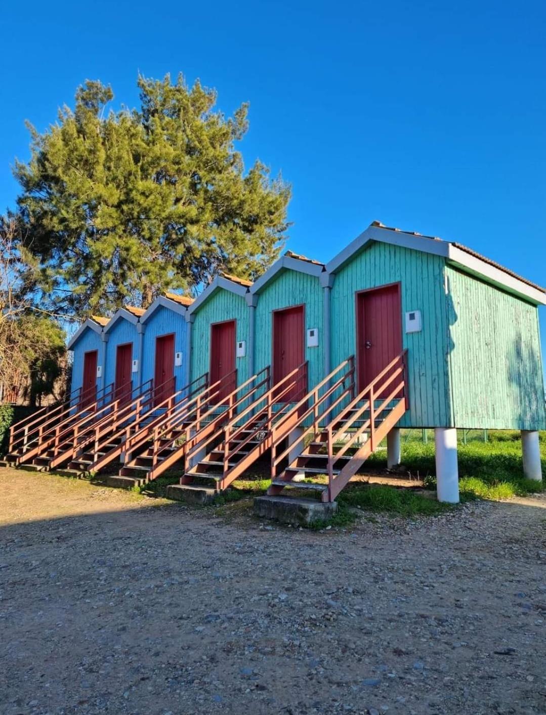 Quinta Marinhais Para Ferias No Ribatejo Luaran gambar